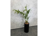 Kunstplant met aardewerk sierpot h200 - afbeelding 5 van  7