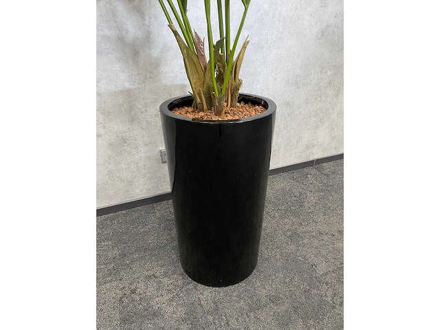 Kunstplant met aardewerk sierpot h200 - afbeelding 6 van  7