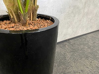 Kunstplant met aardewerk sierpot h200 - afbeelding 7 van  7