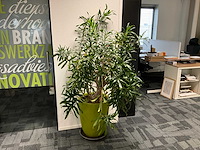 (kunst)plant met pot (10x) - afbeelding 1 van  5