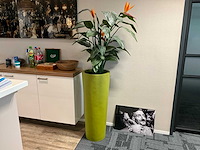 (kunst)plant met pot (10x) - afbeelding 2 van  5