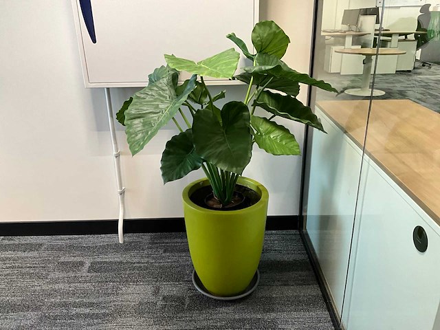 (kunst)plant met pot (10x) - afbeelding 4 van  5