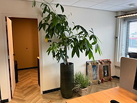 (kunst)plant met pot (10x) - afbeelding 5 van  5