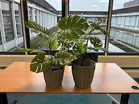 Kunstplant met pot (2x) - afbeelding 1 van  3