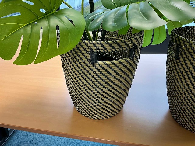Kunstplant met pot (2x) - afbeelding 3 van  3