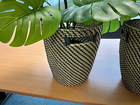 Kunstplant met pot (2x) - afbeelding 3 van  3