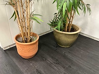 Kunstplant met pot (2x) - afbeelding 2 van  3