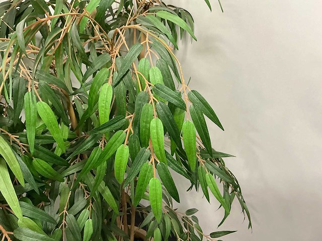 Kunstplant met pot (2x) - afbeelding 3 van  3