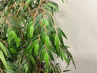 Kunstplant met pot (2x) - afbeelding 3 van  3