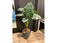 Kunstplant met pot (2x) - afbeelding 3 van  4