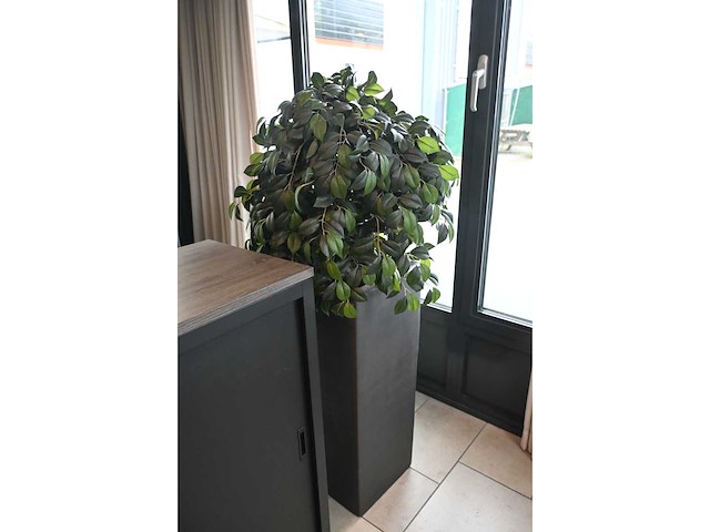 Kunstplant met pot (2x) - afbeelding 4 van  4