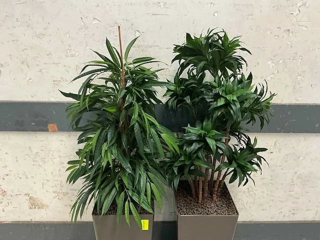 Kunstplant met pot (2x) - afbeelding 3 van  3
