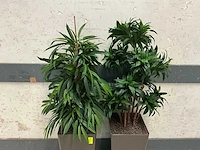 Kunstplant met pot (2x) - afbeelding 3 van  3