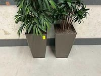 Kunstplant met pot (2x) - afbeelding 1 van  3