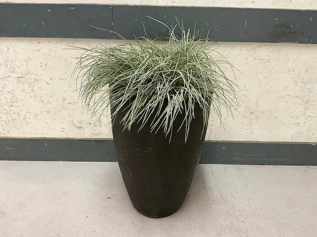Kunstplant met pot (2x) - afbeelding 1 van  3