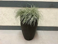 Kunstplant met pot (2x)