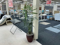 Kunstplant met pot (3x) - afbeelding 1 van  7