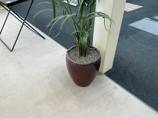 Kunstplant met pot (3x) - afbeelding 2 van  7