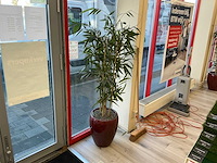 Kunstplant met pot (3x) - afbeelding 3 van  7