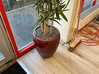 Kunstplant met pot (3x) - afbeelding 4 van  7