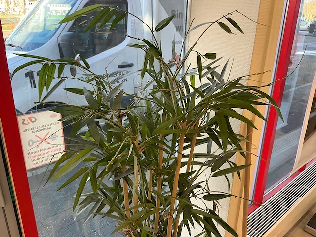 Kunstplant met pot (3x) - afbeelding 5 van  7