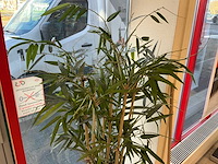 Kunstplant met pot (3x) - afbeelding 5 van  7