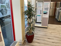 Kunstplant met pot (3x) - afbeelding 6 van  7