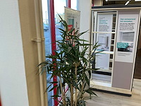 Kunstplant met pot (3x) - afbeelding 7 van  7