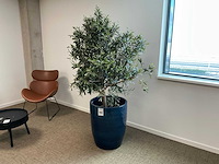 Kunstplant met pot (3x) - afbeelding 1 van  3