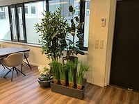 (kunst)plant met pot (4x) - afbeelding 1 van  5