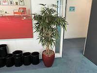 Kunstplant met pot (5x) - afbeelding 4 van  5