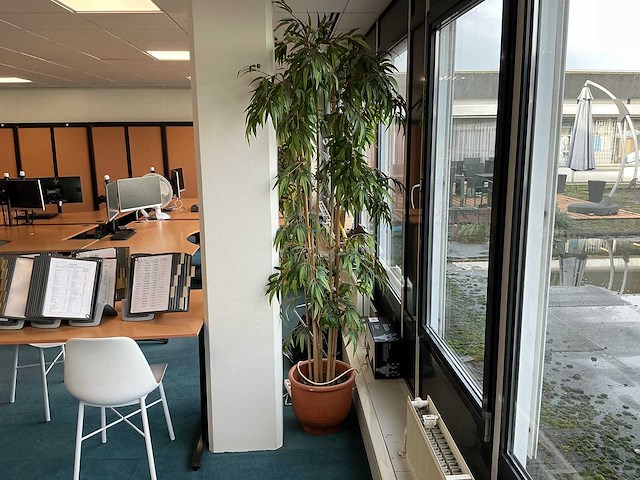 Kunstplant met pot (5x) - afbeelding 5 van  5