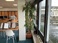 Kunstplant met pot (5x) - afbeelding 5 van  5