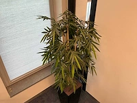 Kunstplant met pot bamboe - afbeelding 2 van  3