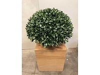 Kunstplant met pot en presentatieblok op wielen - afbeelding 2 van  4