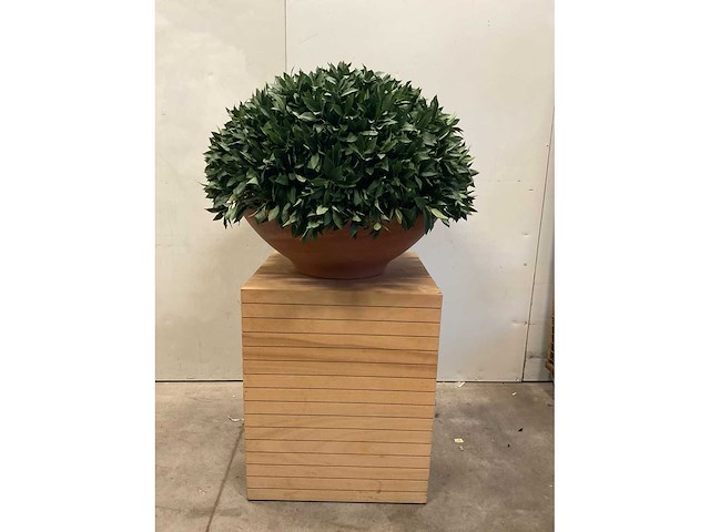 Kunstplant met pot en presentatieblok op wielen - afbeelding 1 van  4