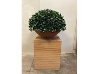 Kunstplant met pot en presentatieblok op wielen - afbeelding 1 van  4