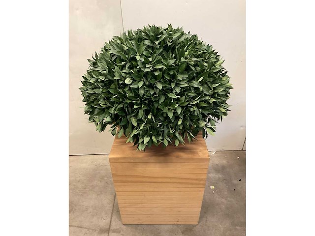 Kunstplant met pot en presentatieblok op wielen - afbeelding 1 van  3