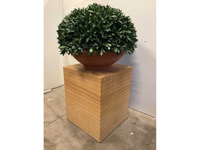 Kunstplant met pot en presentatieblok op wielen - afbeelding 2 van  3