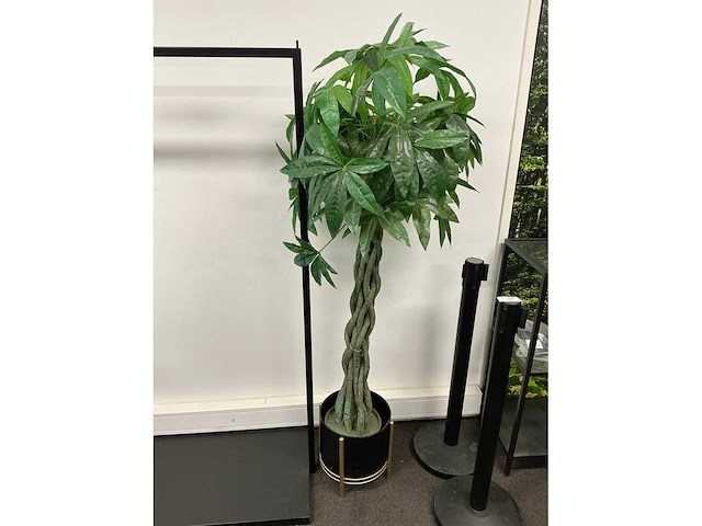 Kunstplant met pot h circa 162cm - afbeelding 2 van  2