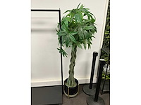 Kunstplant met pot h circa 162cm - afbeelding 2 van  2