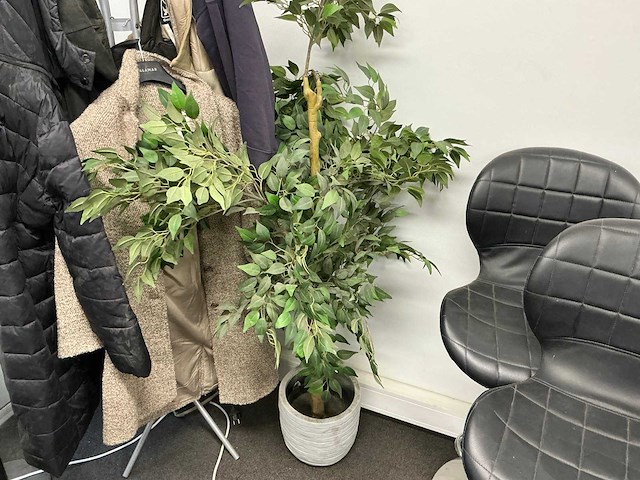 Kunstplant met pot h circa 170cm - afbeelding 1 van  2
