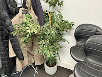 Kunstplant met pot h circa 170cm - afbeelding 1 van  2
