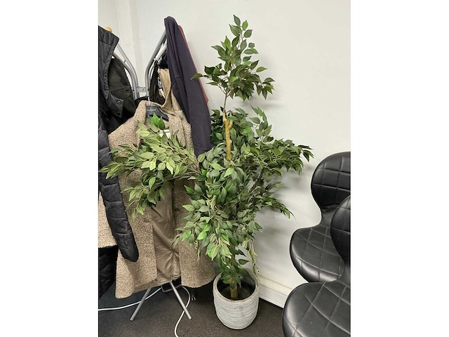 Kunstplant met pot h circa 170cm - afbeelding 2 van  2
