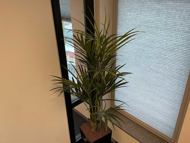 Kunstplant met pot kentiapalm - afbeelding 2 van  3