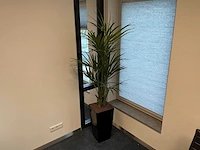 Kunstplant met pot kentiapalm