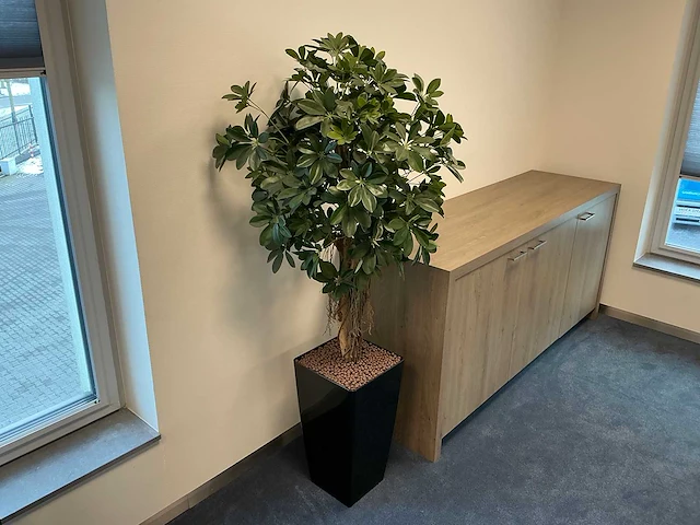 Kunstplant met pot vingerplant - afbeelding 1 van  3
