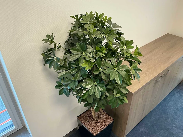Kunstplant met pot vingerplant - afbeelding 2 van  3