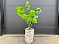 Kunstplant met pot - afbeelding 4 van  6
