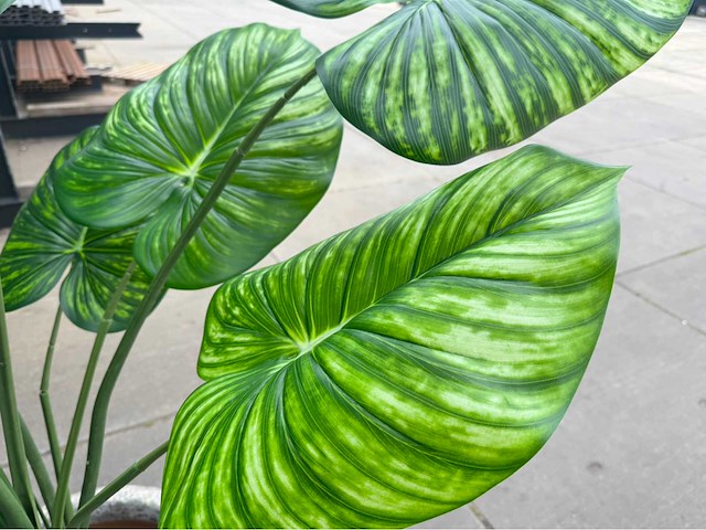 Kunstplant met pot - afbeelding 2 van  6